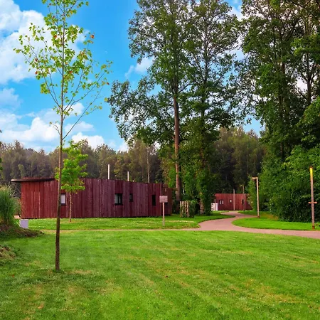 Serene Forest Getaway